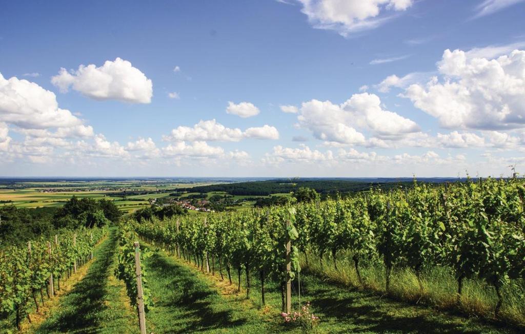 Вілла Kellerstoeckl Weinblick I Und II Eisenberg an der Pinka Екстер'єр фото